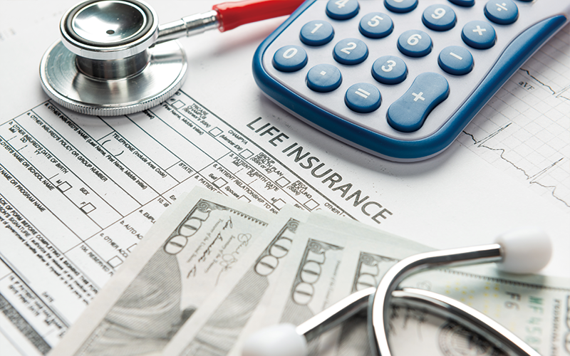 내보험진단 시 점검 항목